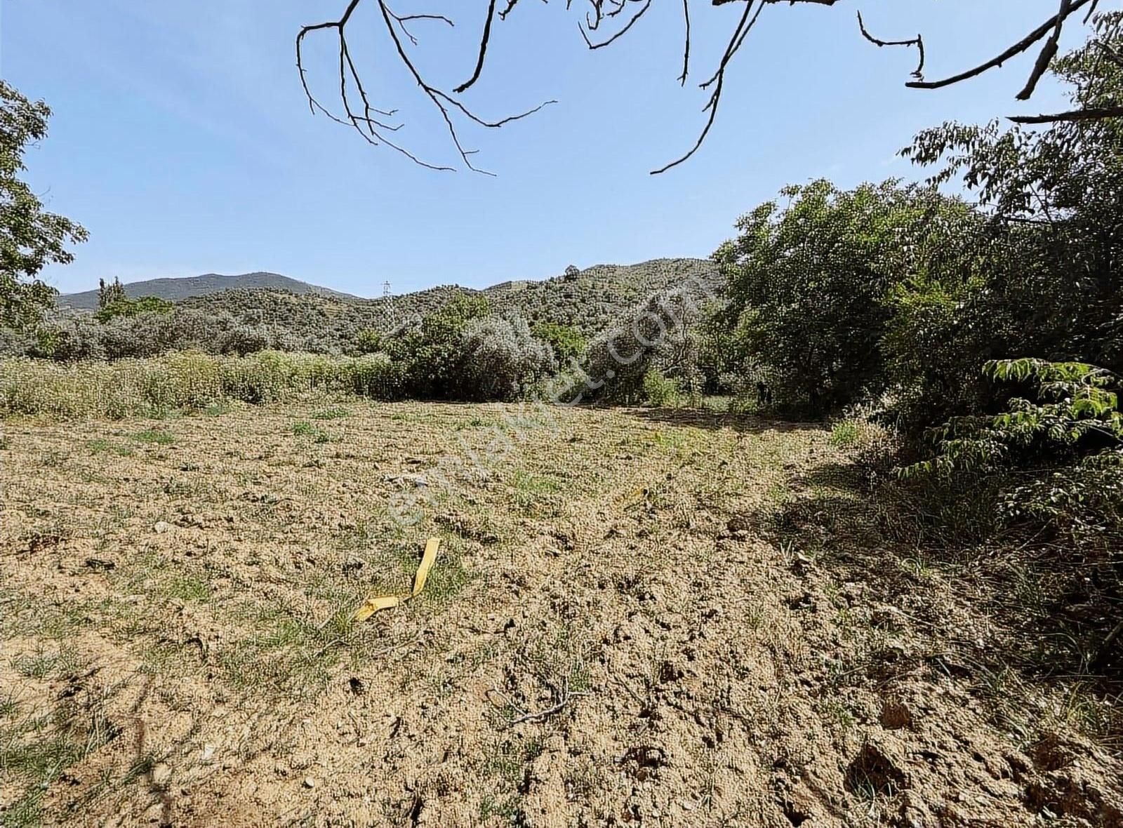 Pek Emlaktan İstediğiniz Hobi Bahçesi Bu İlanda 650 M2 Tek Tapu - Görsel 2