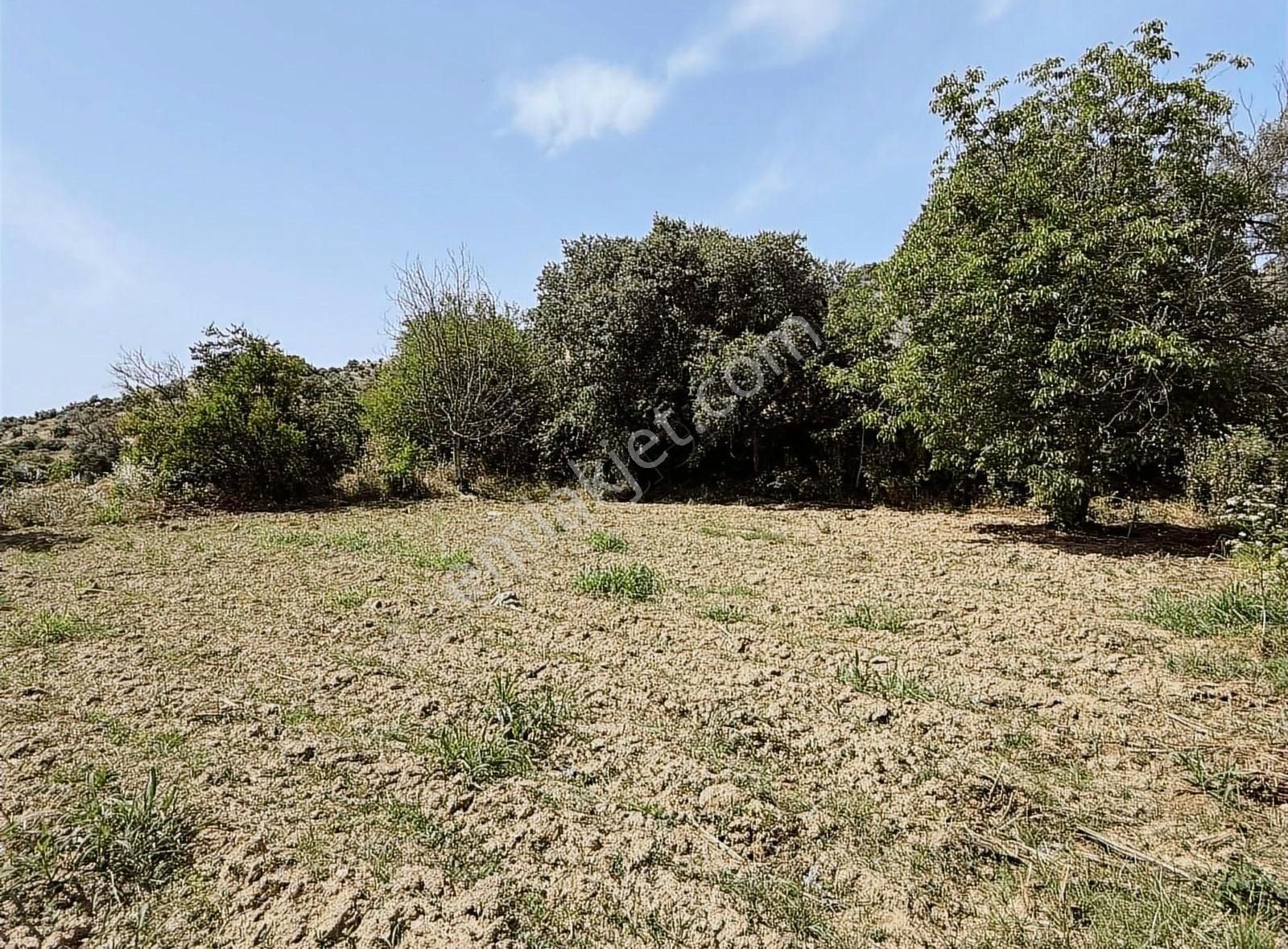 Pek Emlaktan İstediğiniz Hobi Bahçesi Bu İlanda 650 M2 Tek Tapu - Görsel 9