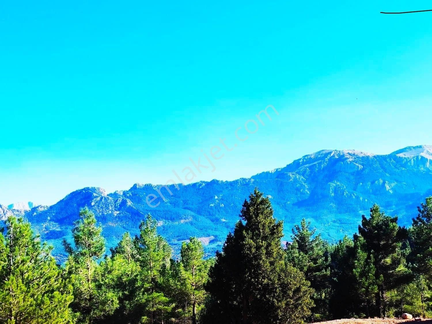 Pozantı Kar Emlaktan Eski Konacık Doğa Manzaralı İmarlı İfrazlı Satılık Yaylalık 500 M2 Arsa - Görsel 5