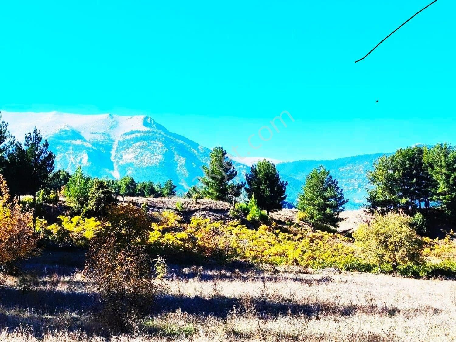 Pozantı Kar Emlaktan Eski Konacık Doğa Manzaralı İmarlı İfrazlı Satılık Yaylalık 500 M2 Arsa - Görsel 2