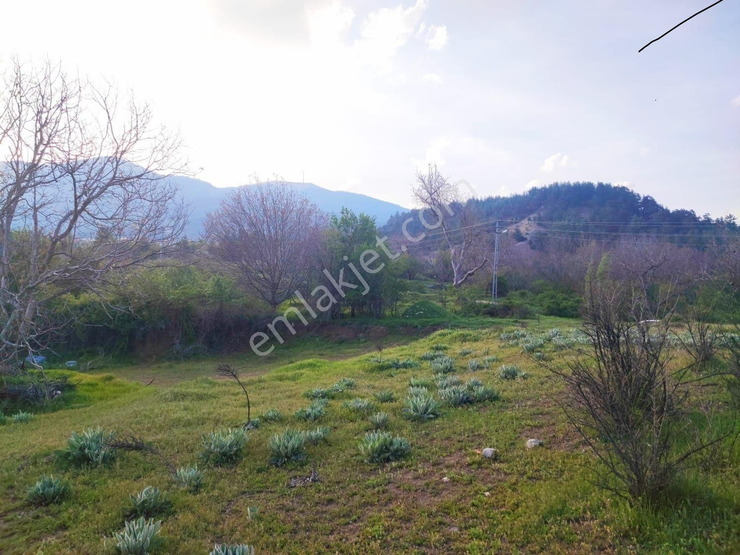 Pozantı Kar Emlaktan Fındıklı Yaylası Doğa Manzaralı İmarlı İfrazlı 1500 M2 Arsa - Görsel 2