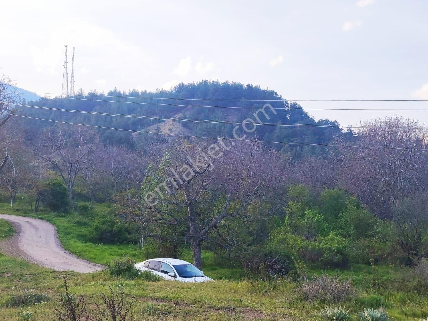 Pozantı Kar Emlaktan Fındıklı Yaylası Doğa Manzaralı İmarlı İfrazlı 1500 M2 Arsa - Görsel 11