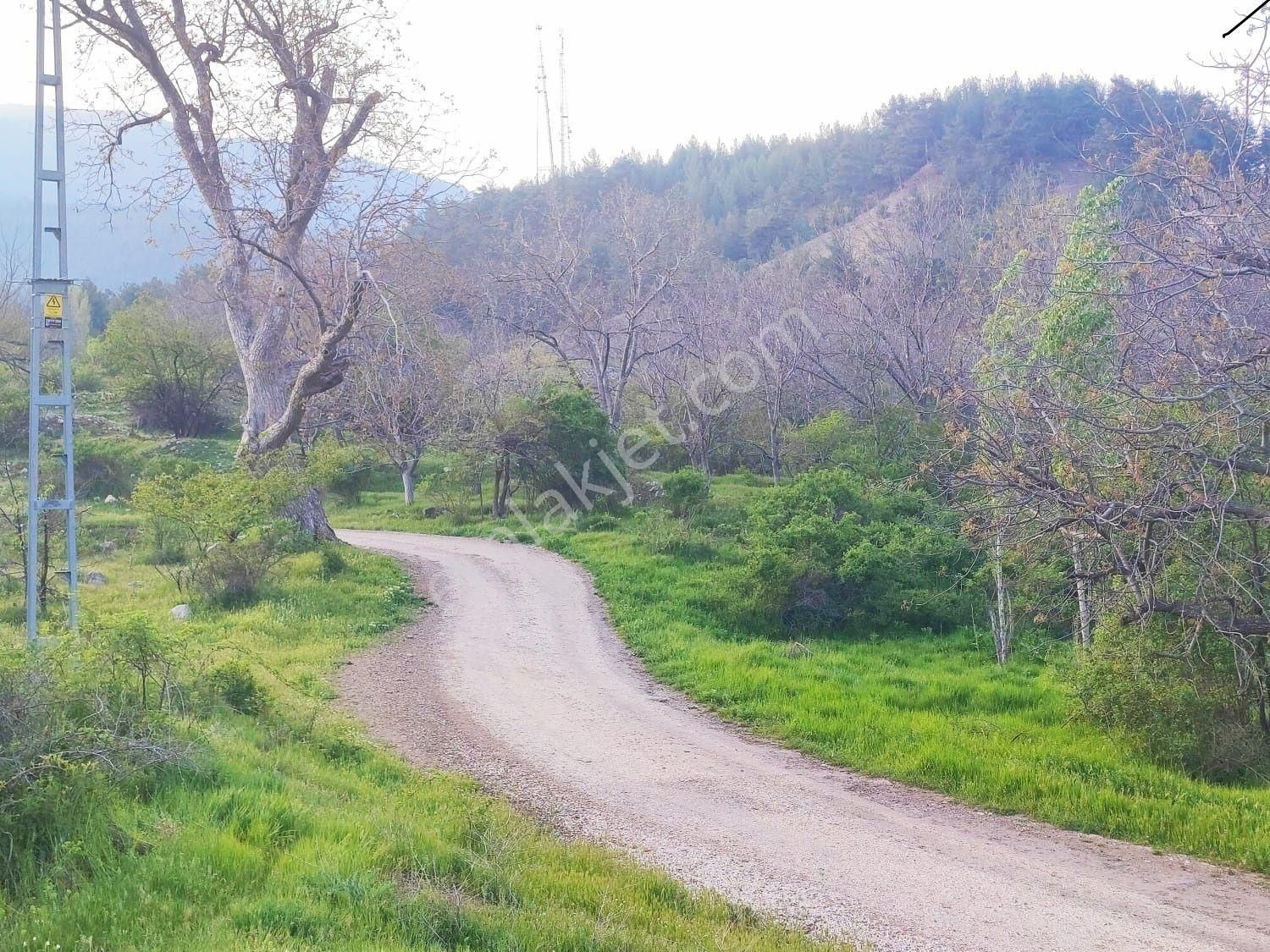 Pozantı Kar Emlaktan Fındıklı Yaylası Doğa Manzaralı İmarlı İfrazlı 1500 M2 Arsa - Görsel 18