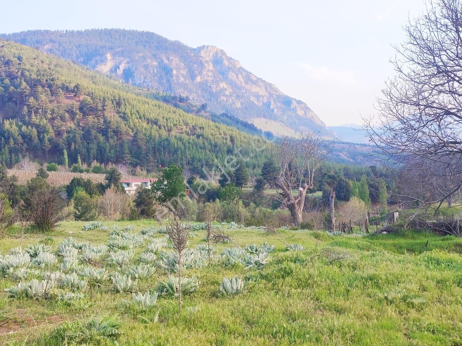 Pozantı Kar Emlaktan Fındıklı Yaylası Doğa Manzaralı İmarlı İfrazlı 1500 M2 Arsa - Görsel 15