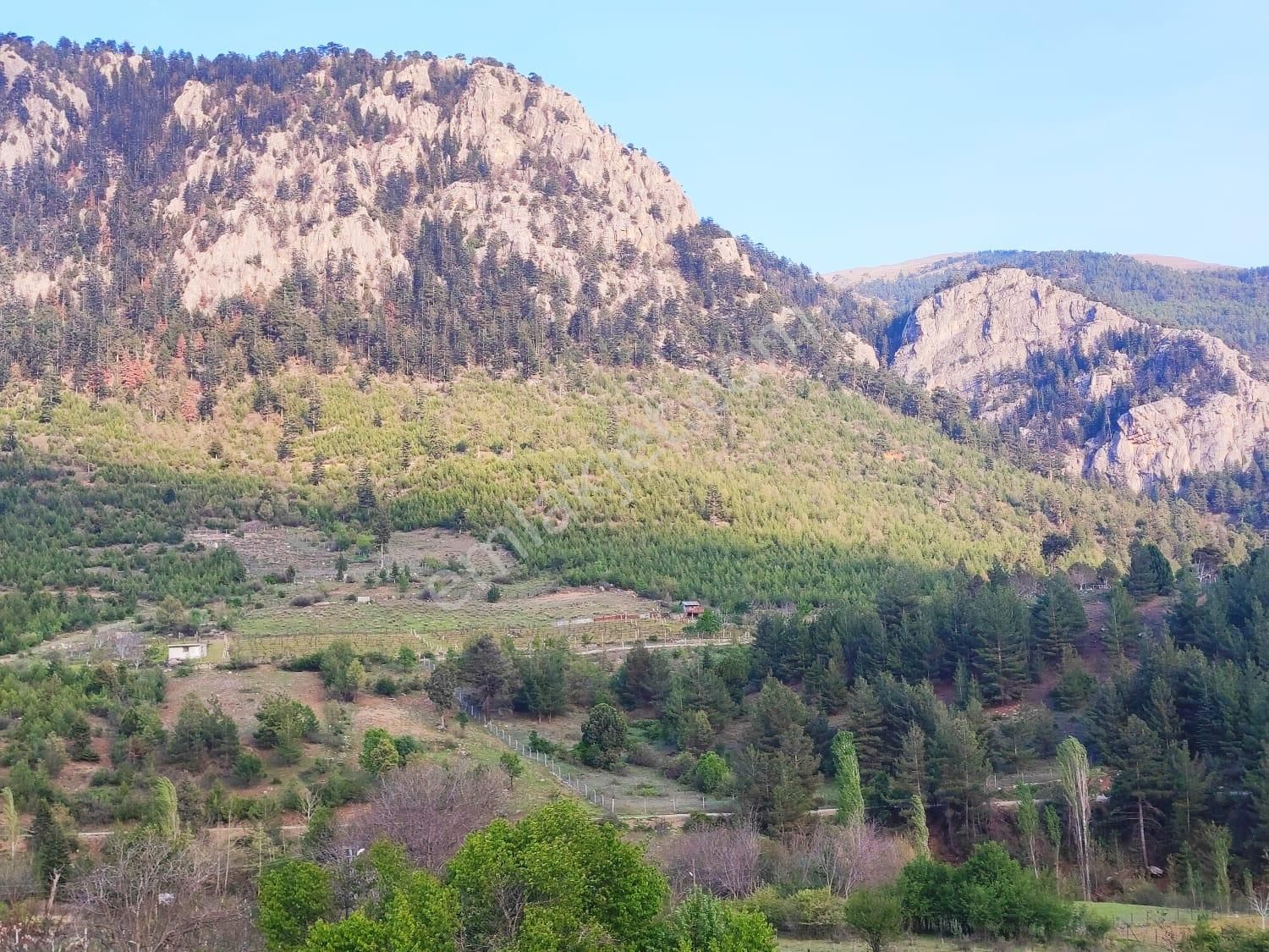 Pozantı Kar Emlaktan Fındıklı Yaylası Doğa Manzaralı İmarlı İfrazlı 1500 M2 Arsa - Görsel 13