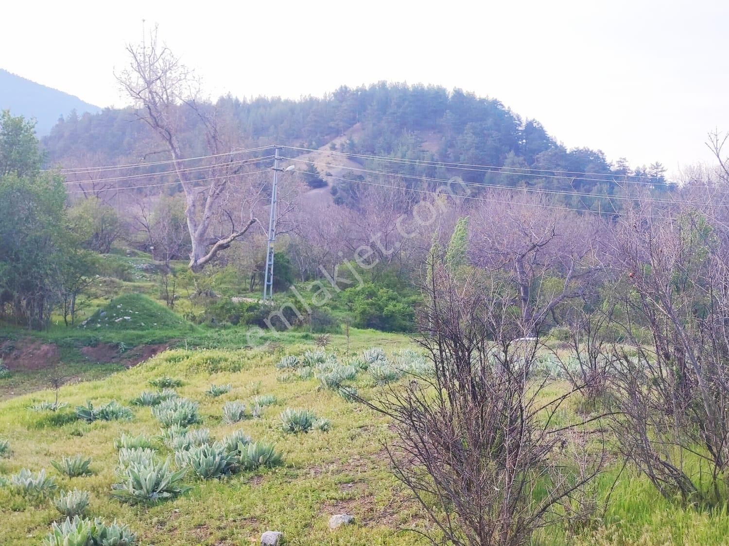 Pozantı Kar Emlaktan Fındıklı Yaylası Doğa Manzaralı İmarlı İfrazlı 1500 M2 Arsa - Görsel 6