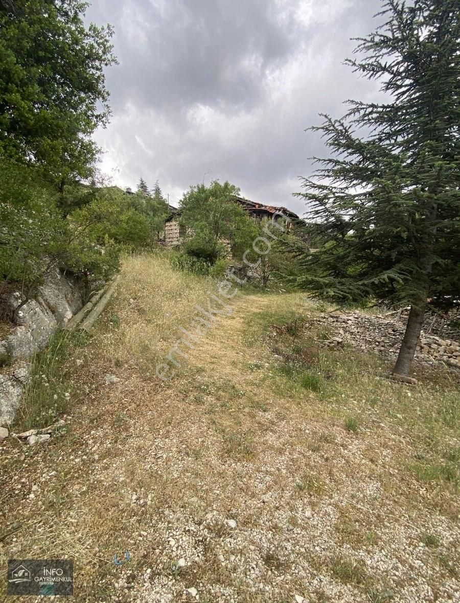 İnfo Dan Belenalan Mah Satılık Mustakil Ev Doğa Manzaralı - Görsel 6