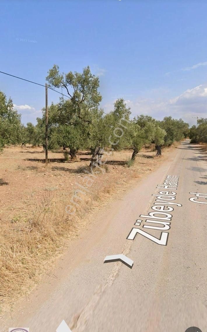 Ayvalık’ta Denize Sıfır Zeytinlik Parselinde 260m2 Fırsat - Görsel 5