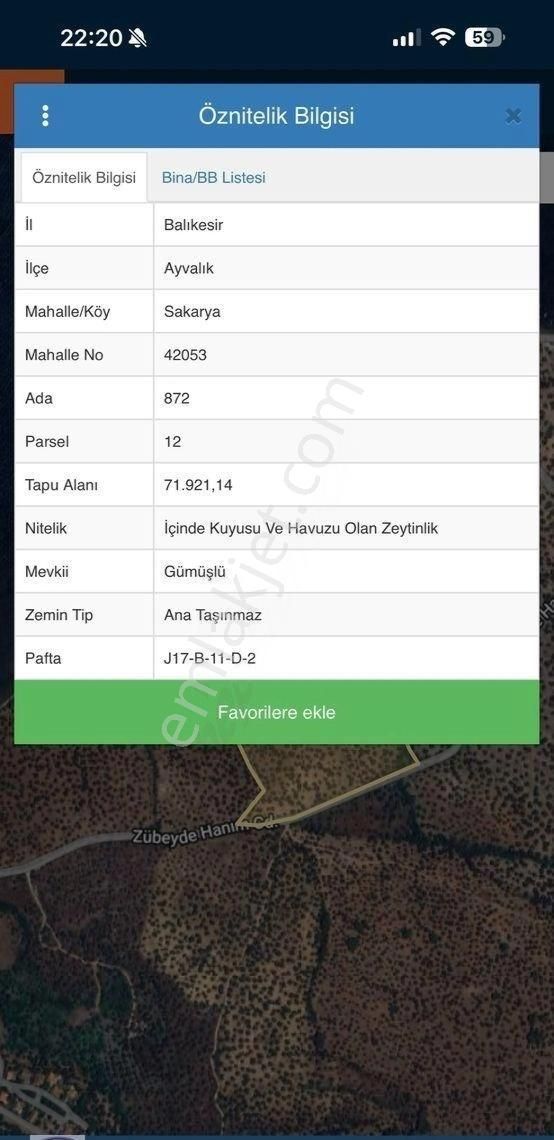 Ayvalık’ta Denize Sıfır Zeytinlik Parselinde 260m2 Fırsat - Görsel 2