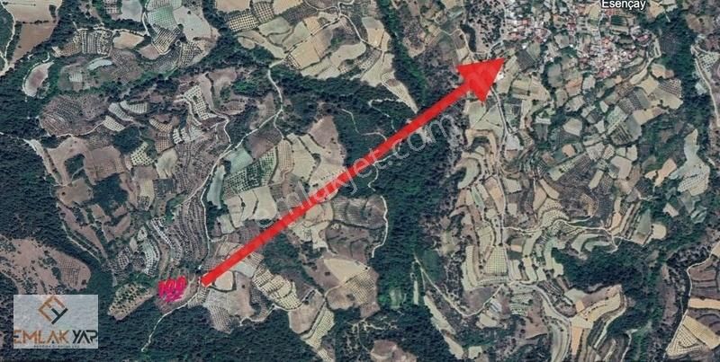 Emlakyap No48 Den Esençayda Satılık Arazi