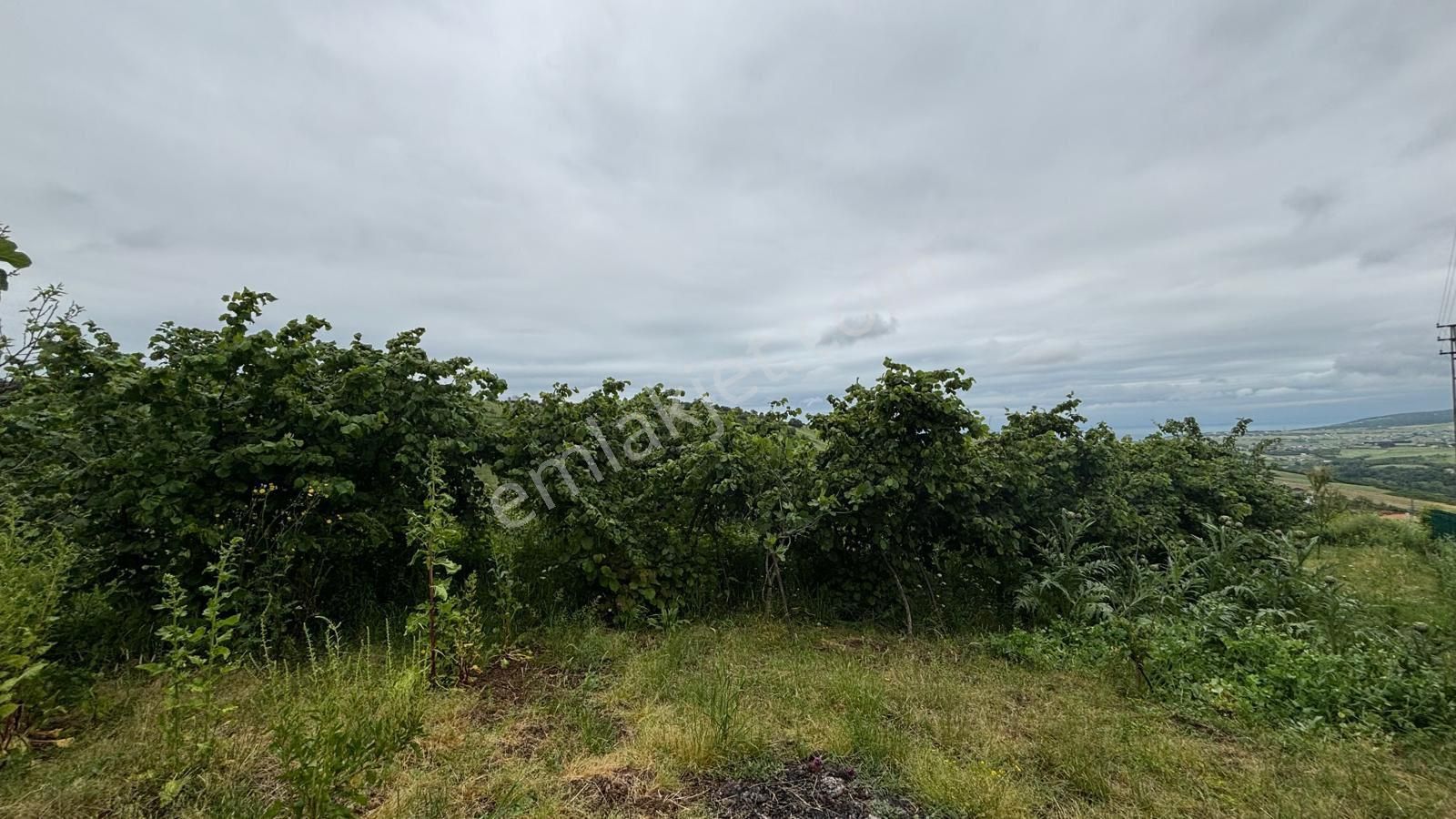 Ertaş’tan Full Deniz Ve Doğa Manzaralı Satılık Ev Ve Tarlası - Görsel 12