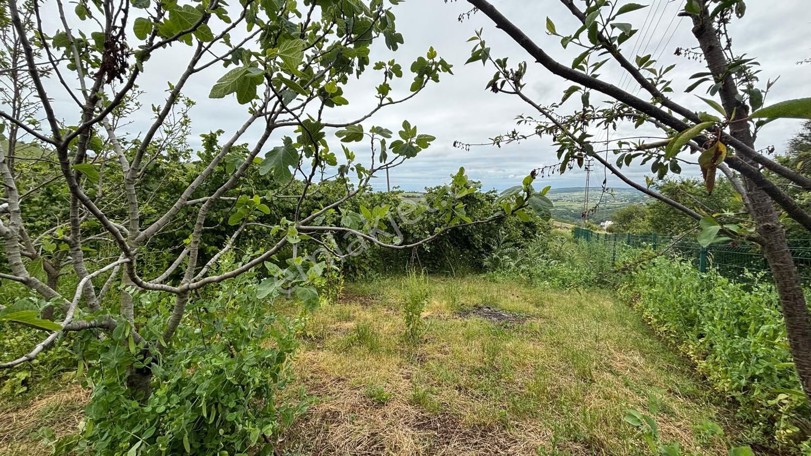 Ertaş’tan Full Deniz Ve Doğa Manzaralı Satılık Ev Ve Tarlası - Görsel 11