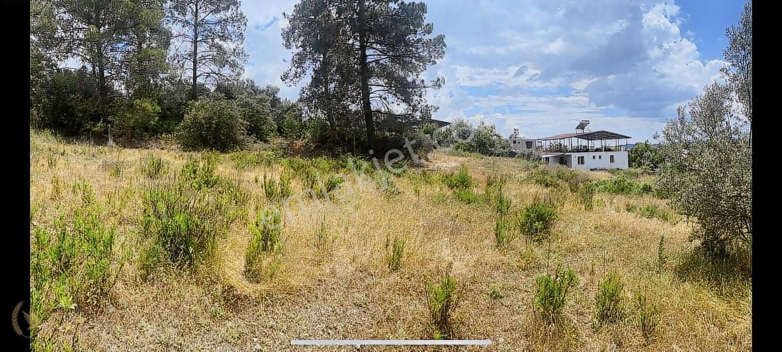 Seydikemer Seydiler Toplar Mevki 800mt Tapulu Yerimiz Satılık