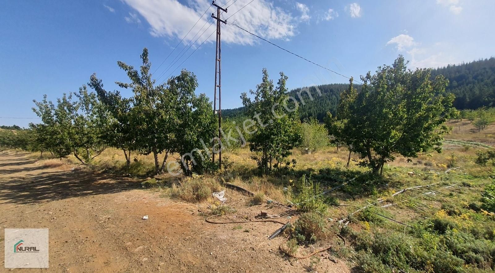 Hacıalanında Satılık 24 Dönüm Tarla Pazarlık Arsa Başında... - Görsel 4