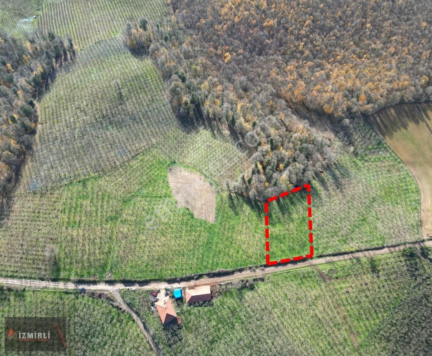 Karateke Köy Merkezinde 3111m2 Satılık Fındık Bahçesi