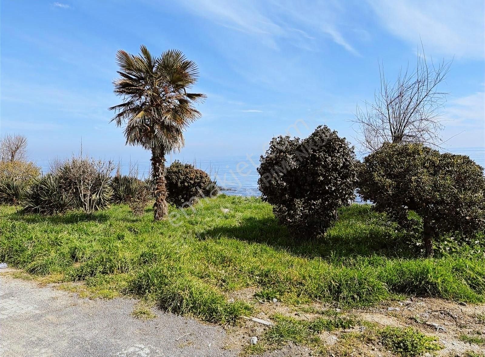 Tekirdağ Sahil Boyu Nda Denize 100 M. Muhteşem Villa Arsası - Görsel 3