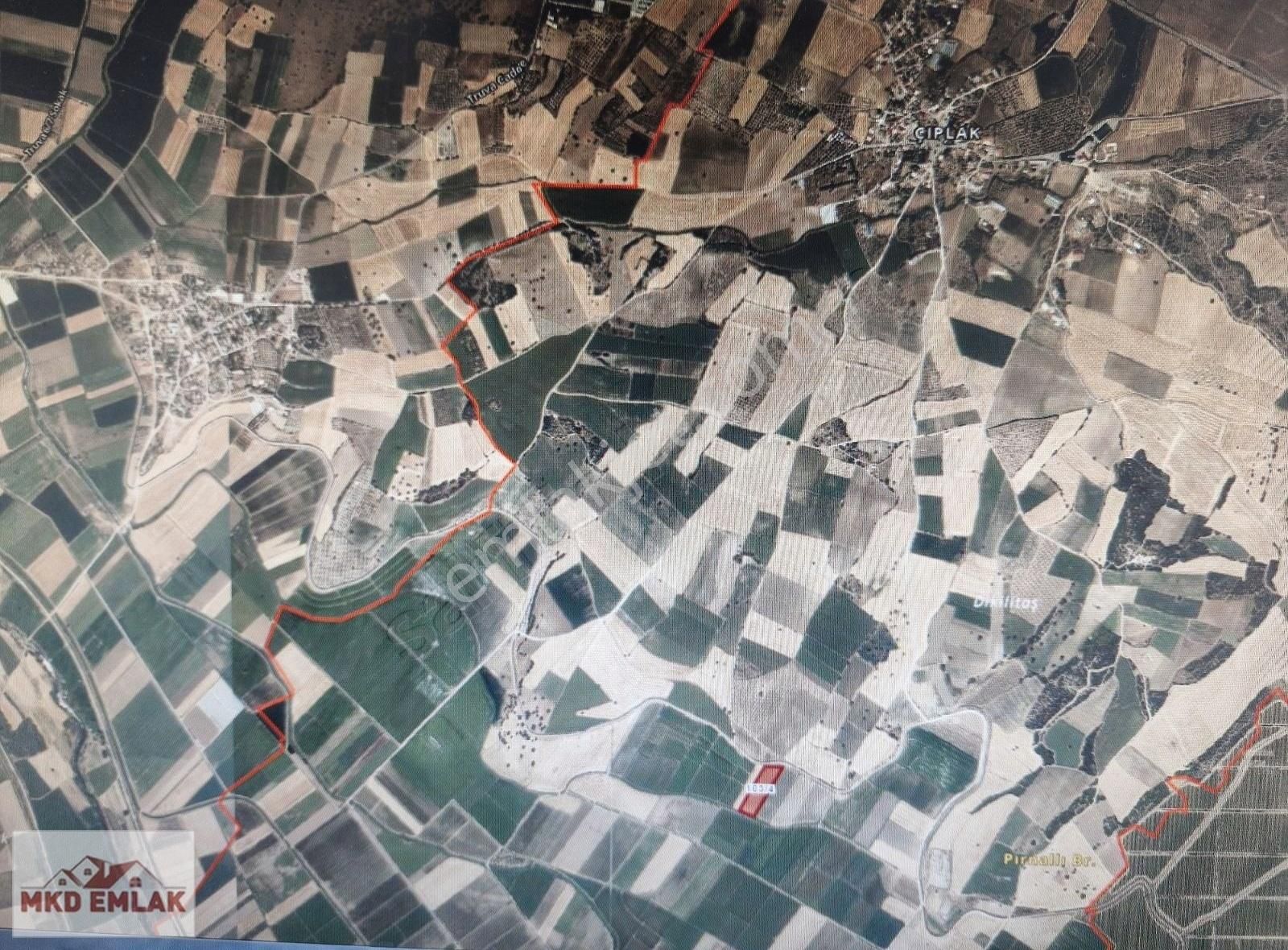 Acil Kelepir Çanakkale Merkez Çıplak Köyünde 9278 M2 Tarla Mkd - Görsel 6