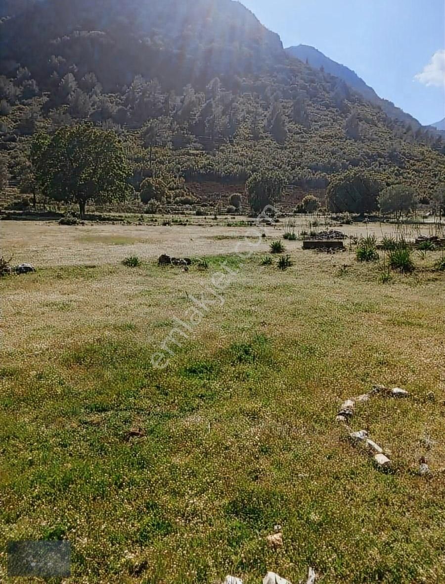 Satılık!!! Fethiye Seydikemer Kabaağaç Mevkii'de 11000 M2 Tarla
