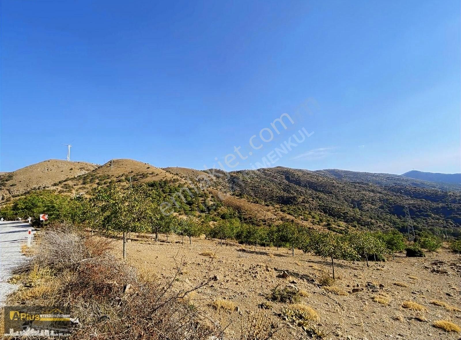 A Plus Gayrimenkulden Tire Yamandere'de Yola Sıfır Kupon Tarla - Görsel 8