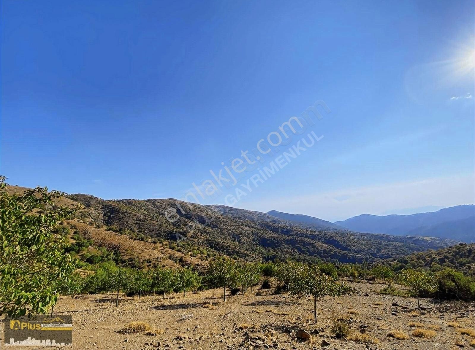 A Plus Gayrimenkulden Tire Yamandere'de Yola Sıfır Kupon Tarla - Görsel 2