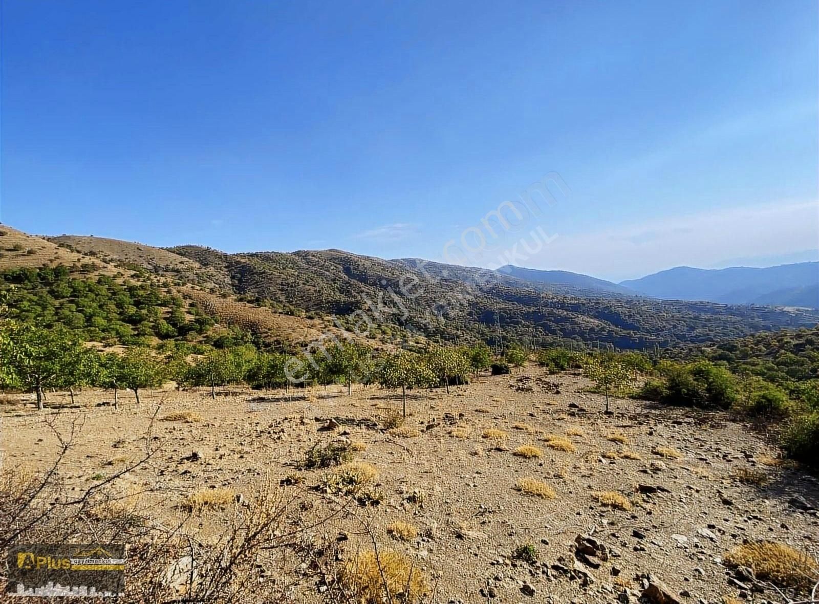 A Plus Gayrimenkulden Tire Yamandere'de Yola Sıfır Kupon Tarla - Görsel 12