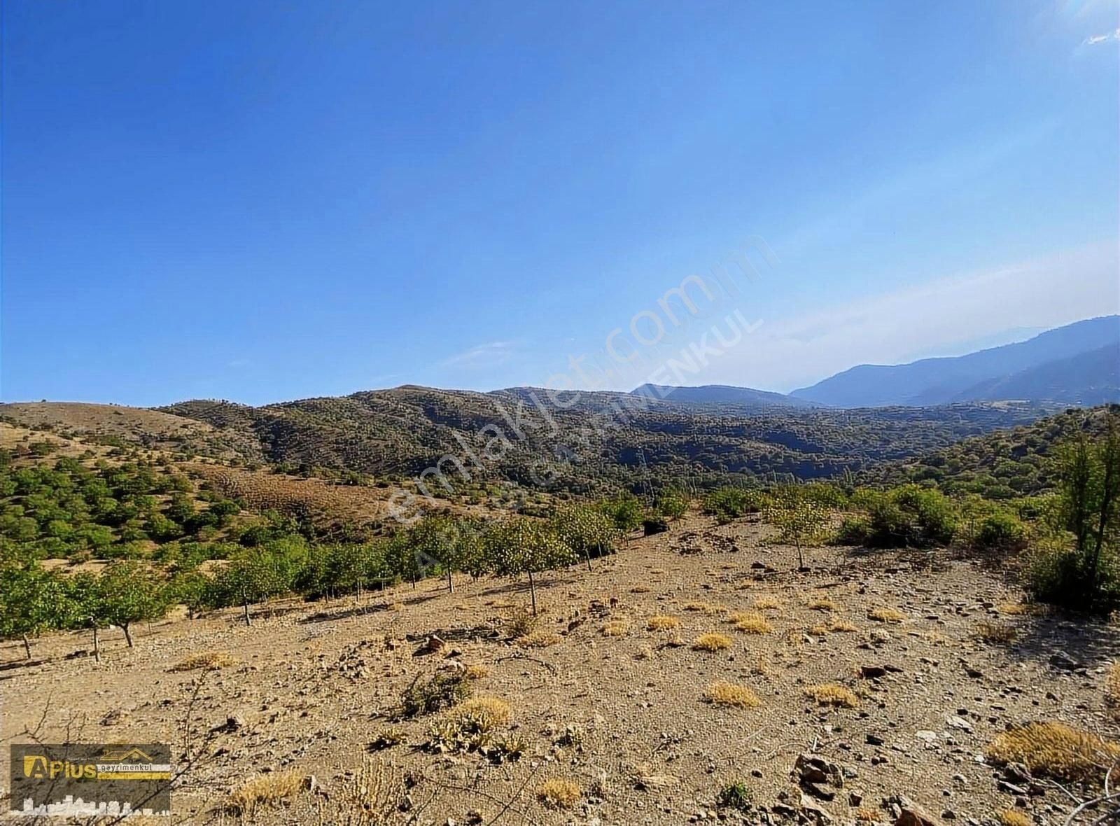 A Plus Gayrimenkulden Tire Yamandere'de Yola Sıfır Kupon Tarla - Görsel 13