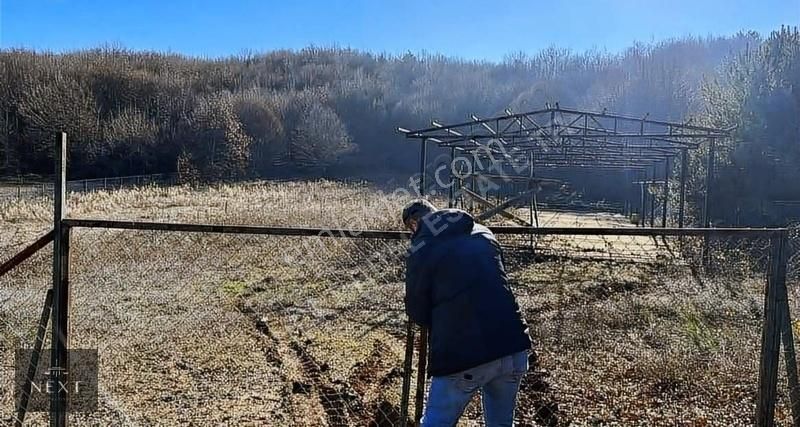 İznikte Çiftlik Ve Hayvanclık İçin Uygun Acill Fiyatı Fırsat Dır