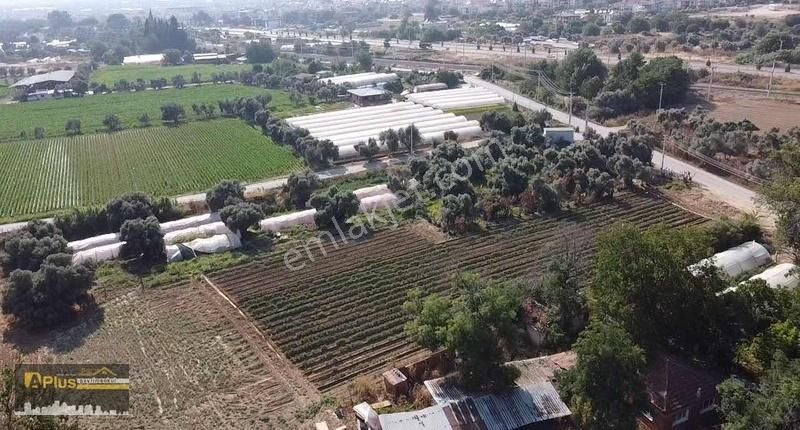 Bayındırın En Gözde Mahallesinde Bulunan Yola Sıfır Tarla - Görsel 13