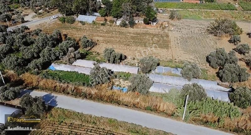 Bayındırın En Gözde Mahallesinde Bulunan Yola Sıfır Tarla - Görsel 9
