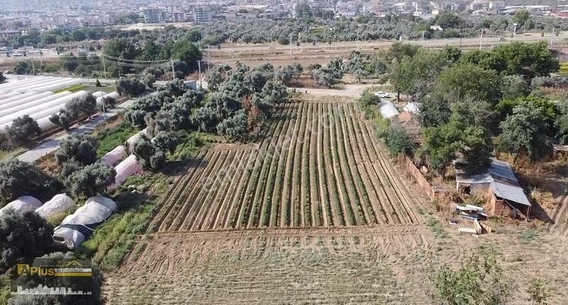 Bayındırın En Gözde Mahallesinde Bulunan Yola Sıfır Tarla - Görsel 6