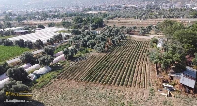 Bayındırın En Gözde Mahallesinde Bulunan Yola Sıfır Tarla - Görsel 10