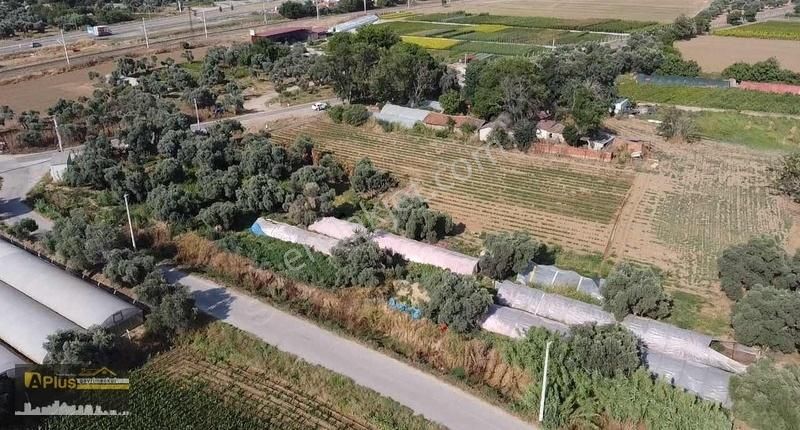 Bayındırın En Gözde Mahallesinde Bulunan Yola Sıfır Tarla - Görsel 15