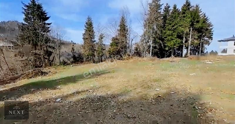 Trabzon Kamışlı Mağmat Da Satılık Turizm İmarlı Arazi