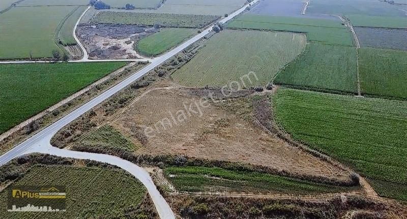 A Plus Gayrimenkulden Yola Sıfır Köşe Konumda Satılık Tarla - Görsel 15