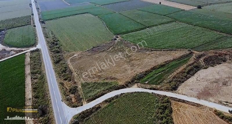 A Plus Gayrimenkulden Yola Sıfır Köşe Konumda Satılık Tarla - Görsel 33