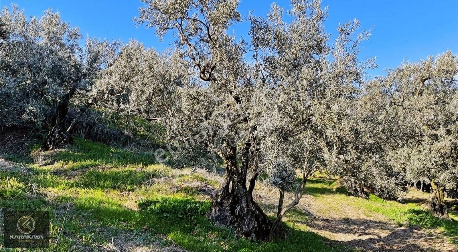 Ful Deniz Manzaralı Villa İmarlı Arsa