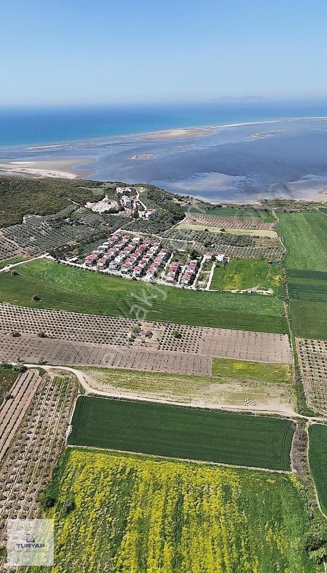 Didim Akköy'de Satılık 18.658 M2 Tarla