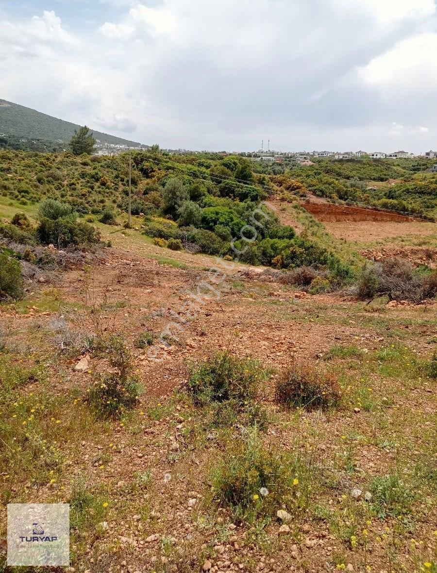 Didim Akyeniköy Balova'da Satılık İmarlı 300 M2 Arsa - Görsel 2