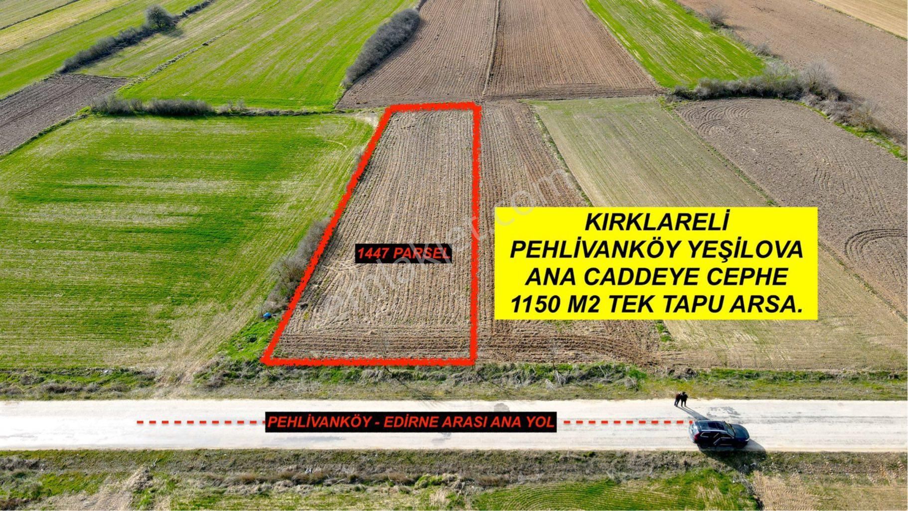 Sahibinden Kırklareli Pehlivanköy Yeşilova Anayola Cephe 1150 M2 Tek Tapu Arazi