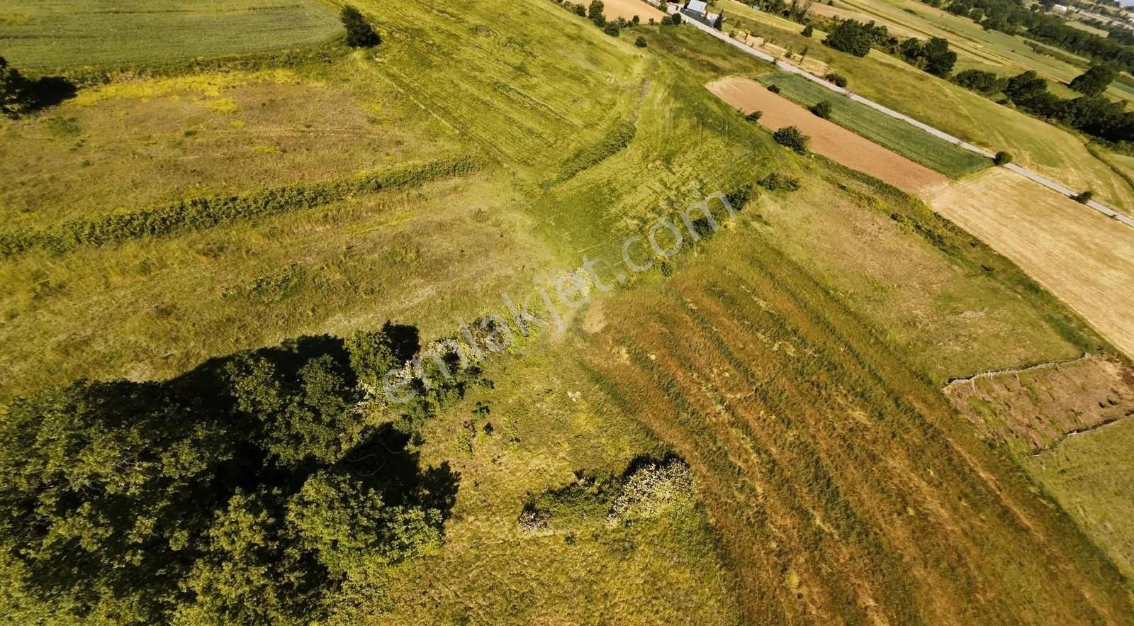 İzmit Ambarcıda Yola 2 Parsel 2.217 M2 Tarla - Görsel 3