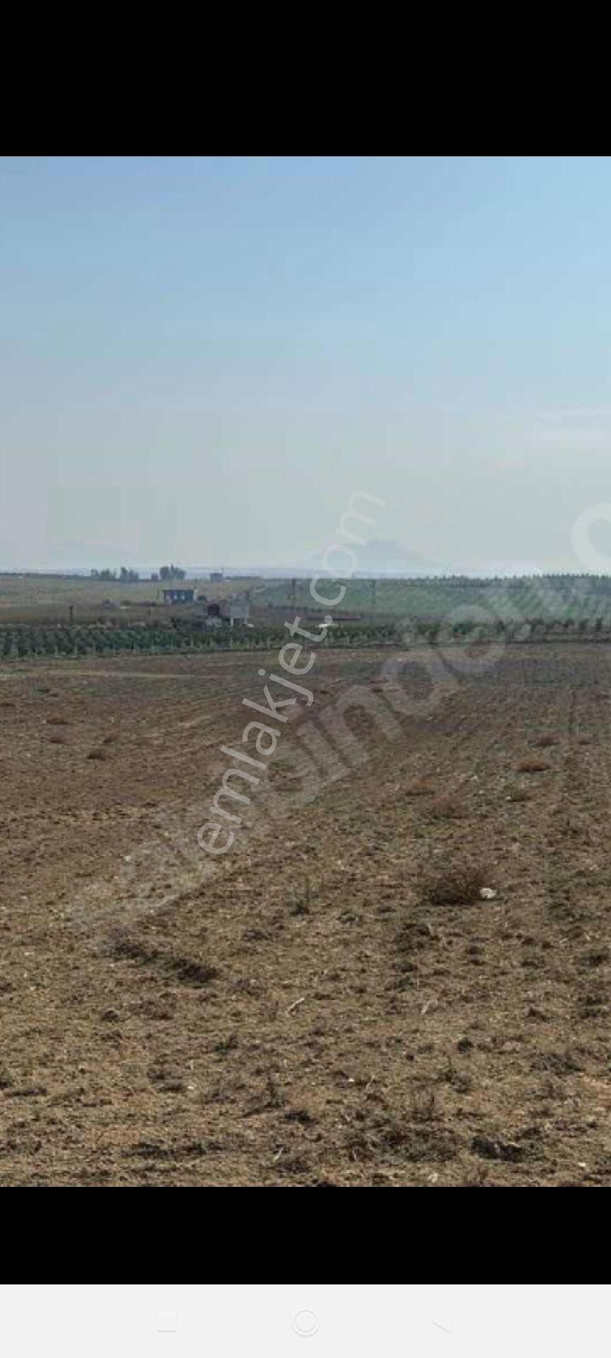Alihocalı Mah Merkeze Çok Yakın 18 Dönüm Yol Su Elektrik Var Düz Verimli Tarla