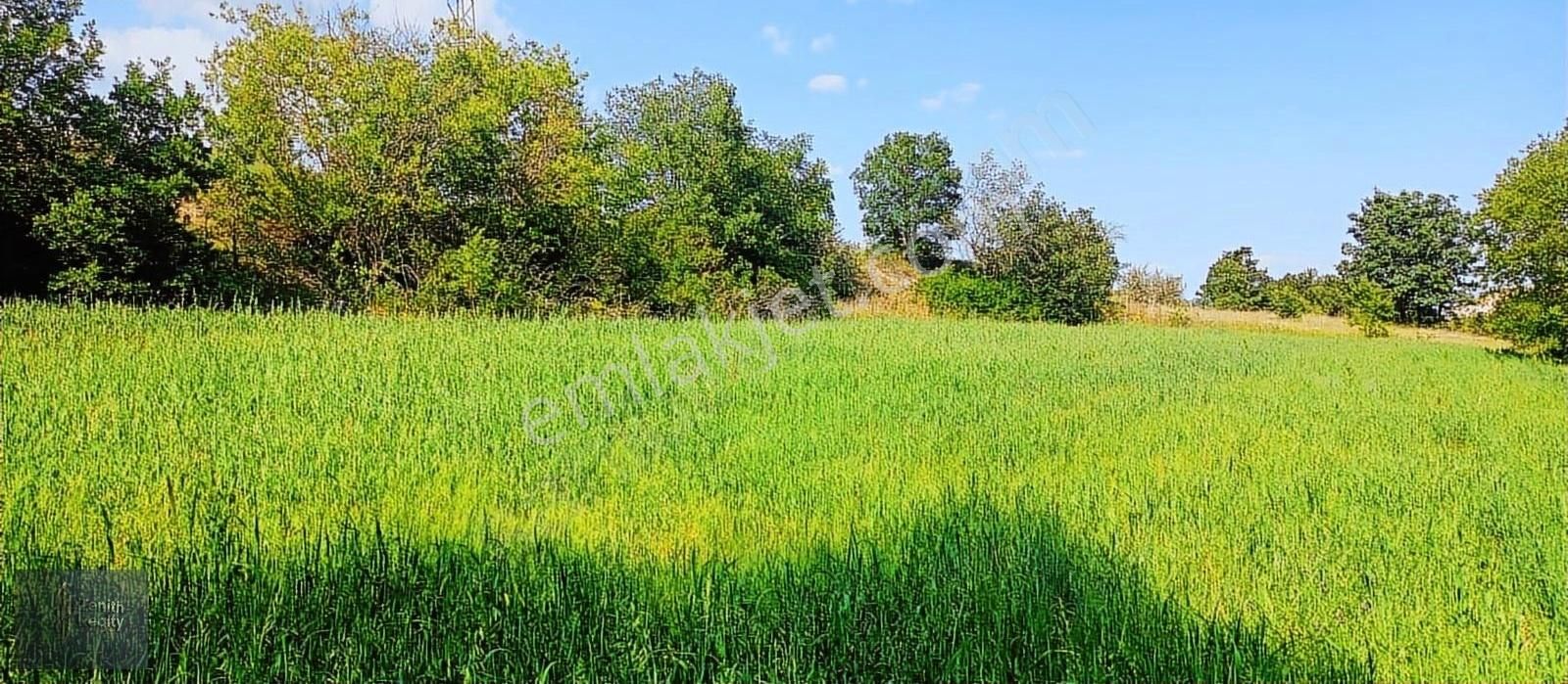 Bilecik Merkez Gökpınar Köyünde 1953 M2 Satılık Yatırımlık Arazi