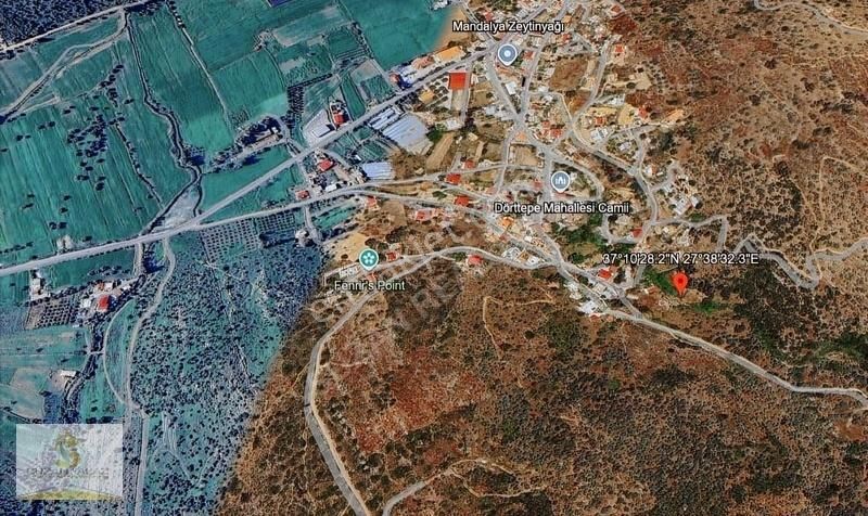 Milas Dörttepe Satılık Arazi Diğer Seçenekler Açıklamada - Görsel 10