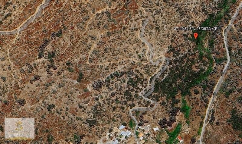 Milas Dörttepe Satılık Arazi Diğer Seçenekler Açıklamada - Görsel 12