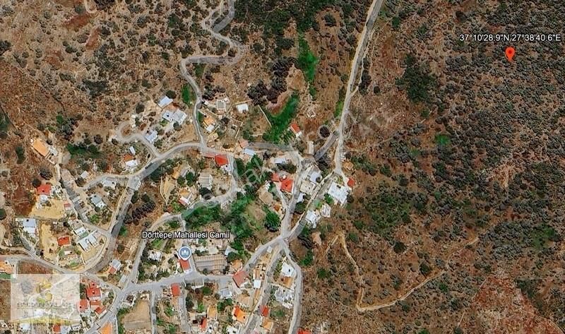 Milas Dörttepe Satılık Arazi Diğer Seçenekler Açıklamada - Görsel 2