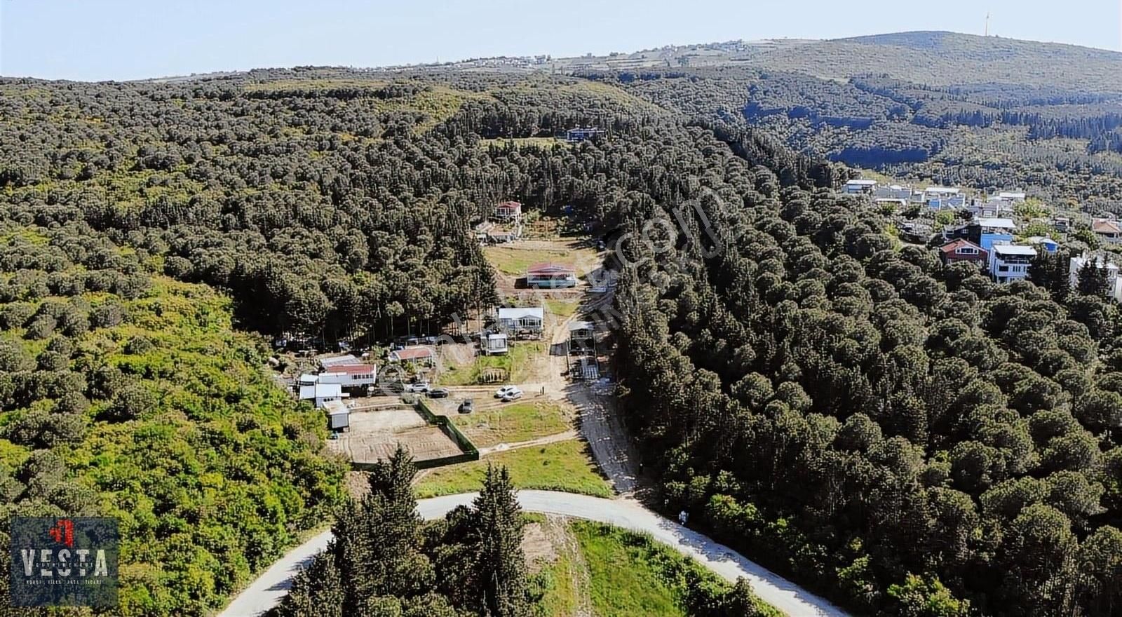 Mudanya Söğütpınar'da Full Deniz Manzaralı Hazır Hobi Bahçesi - Görsel 10