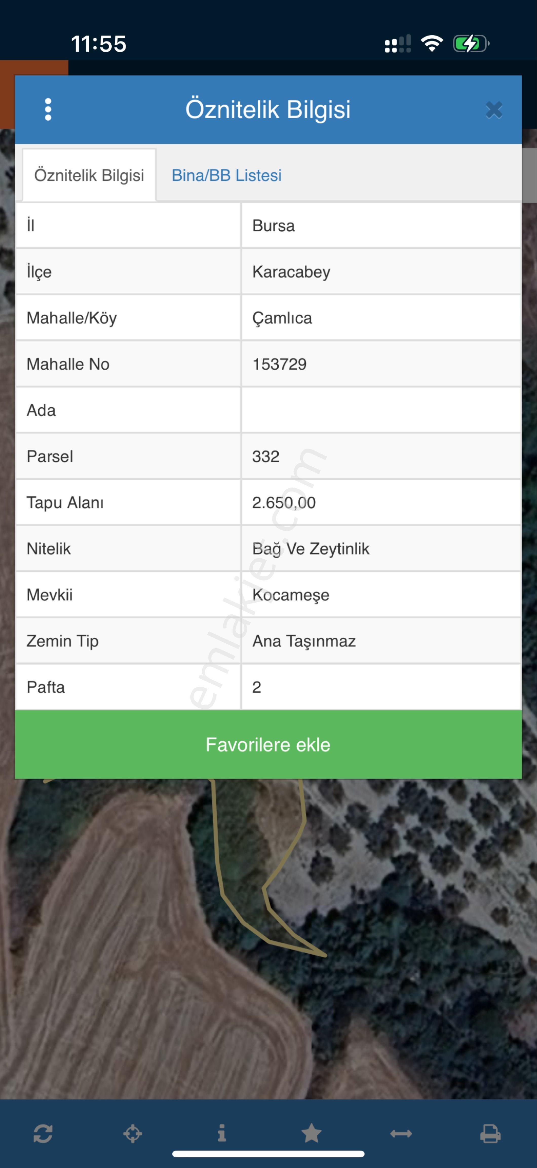 Karacabey Çamlıca Mahallesi’nde Satılık Zeytinlik 🌿 - Görsel 4