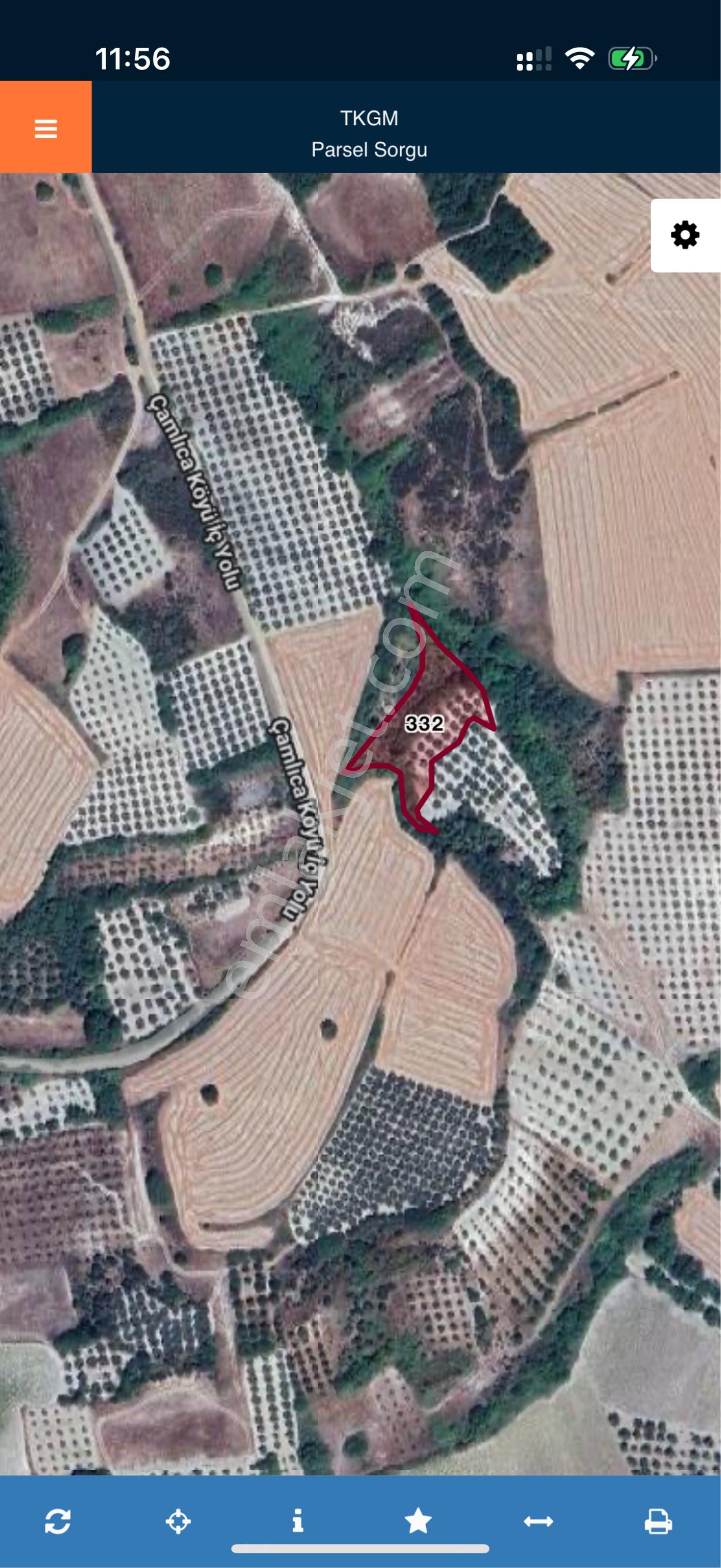 Karacabey Çamlıca Mahallesi’nde Satılık Zeytinlik 🌿 - Görsel 5