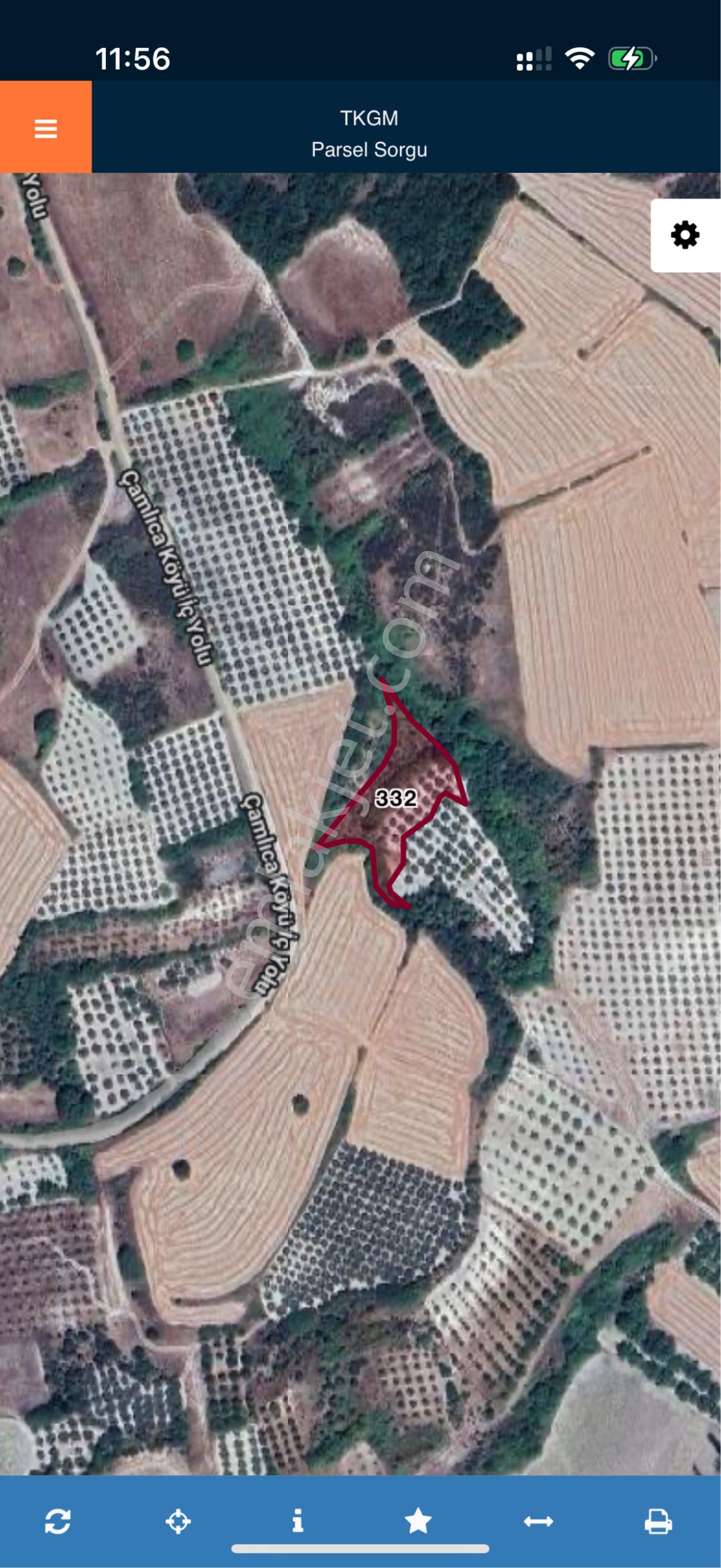 Karacabey Çamlıca Mahallesi’nde Satılık Zeytinlik 🌿 - Görsel 6