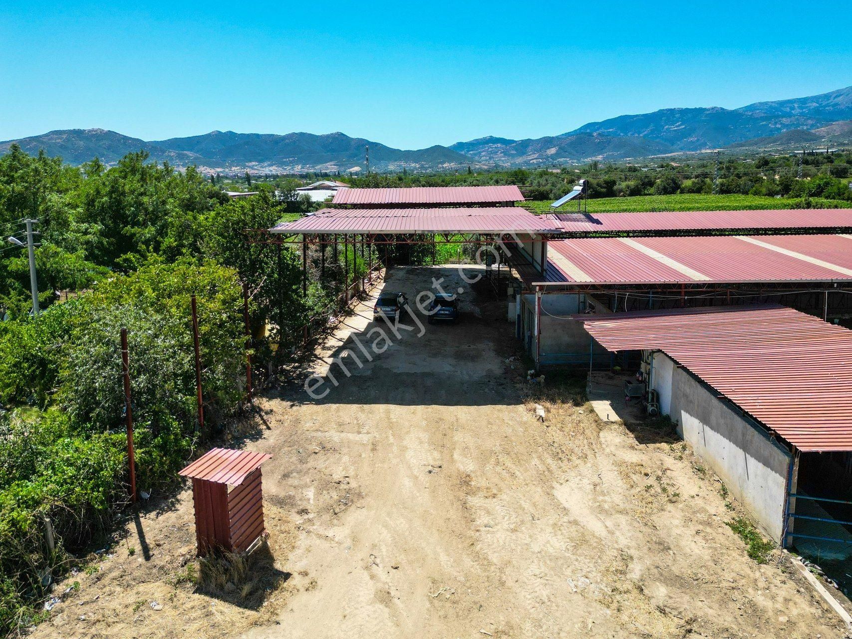 İzmir Kiraz'da 5500 M2 Arsa İçinde 1800 M2 Hazır Büyükbaş Damı - Görsel 12